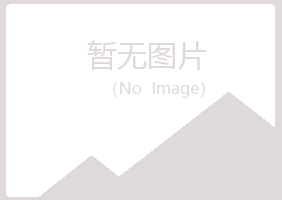 宝山区含蕾美容有限公司